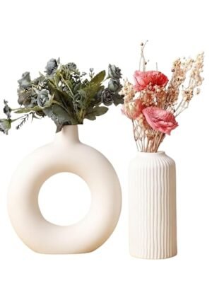 61H8LQEQDLL._SX679_ Ceramic Vase Set of 2 Modern Decorative Flower Vase for Home Decor Beige